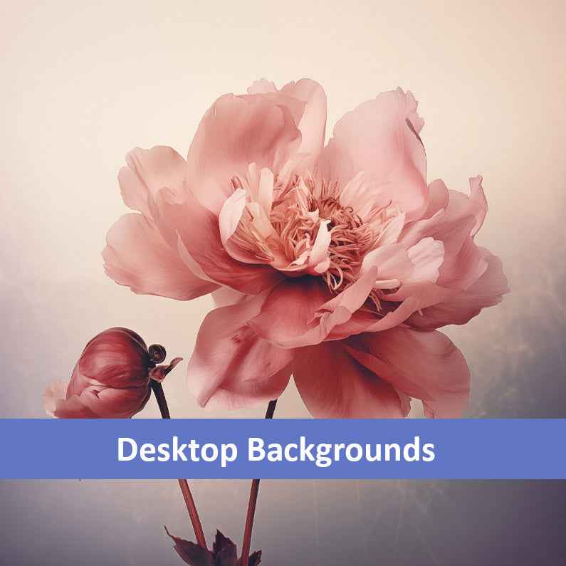 Quiet Blooms Peony Retro Subdued Photorealistic Digital Artwork Wallpaper for Computer Monitors Smart TVs and Laptop Screens