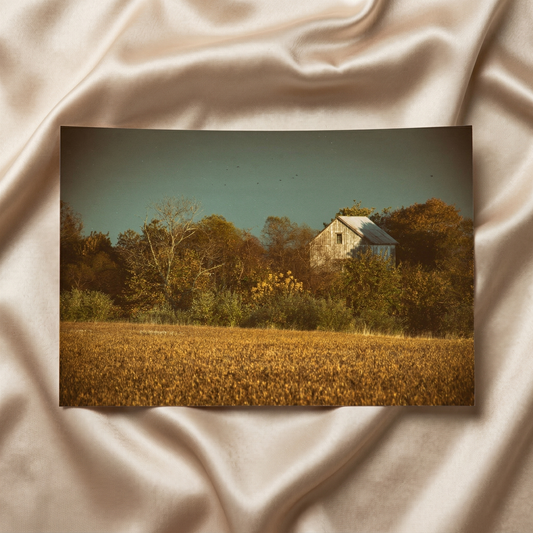 Rustic Art Abandoned Barn In The Trees Rural Landscape Photograph -Aged Colorized Loose Art Print