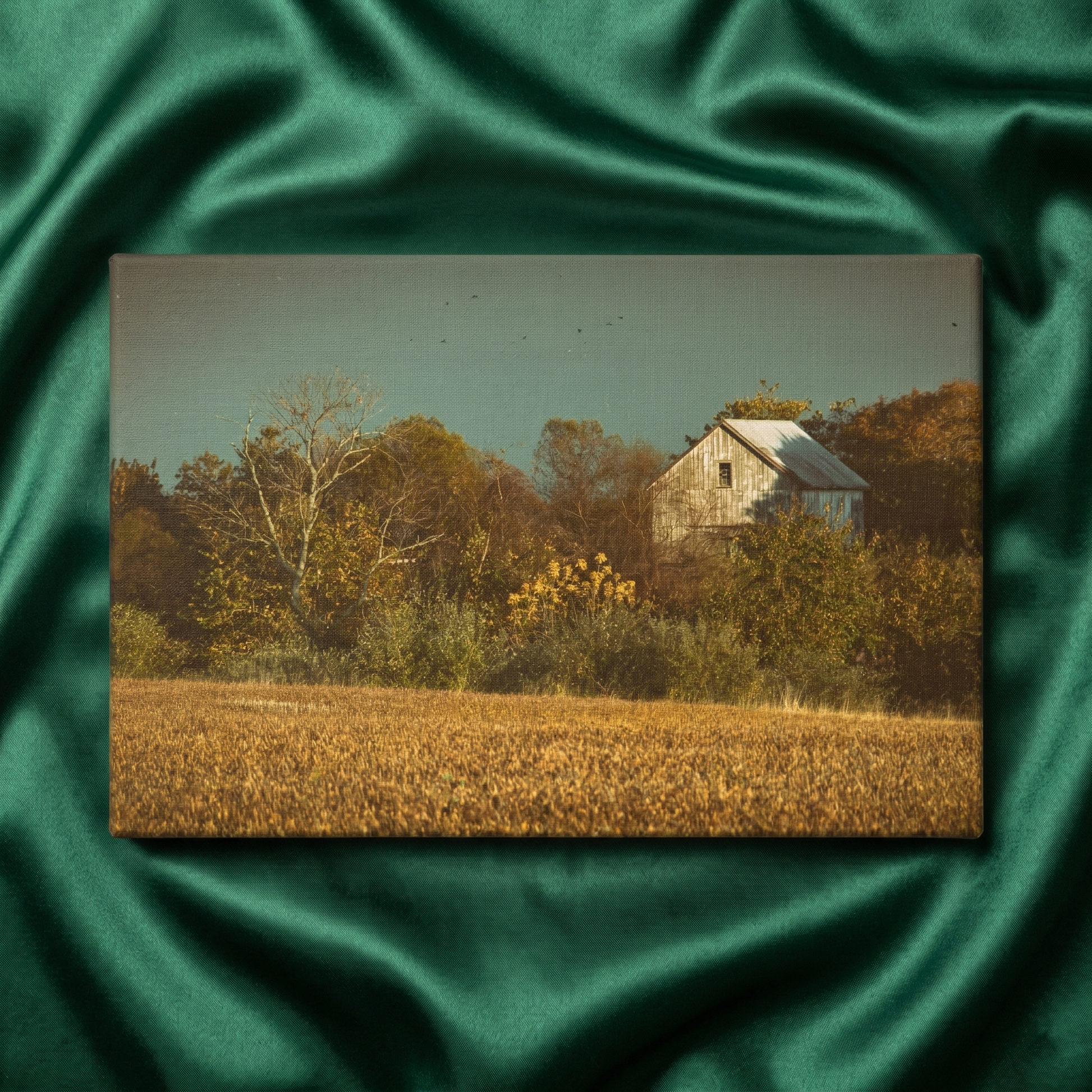 Rustic Artwork Abandoned Barn In The Trees Rural Landscape Photograph -Aged Colorized