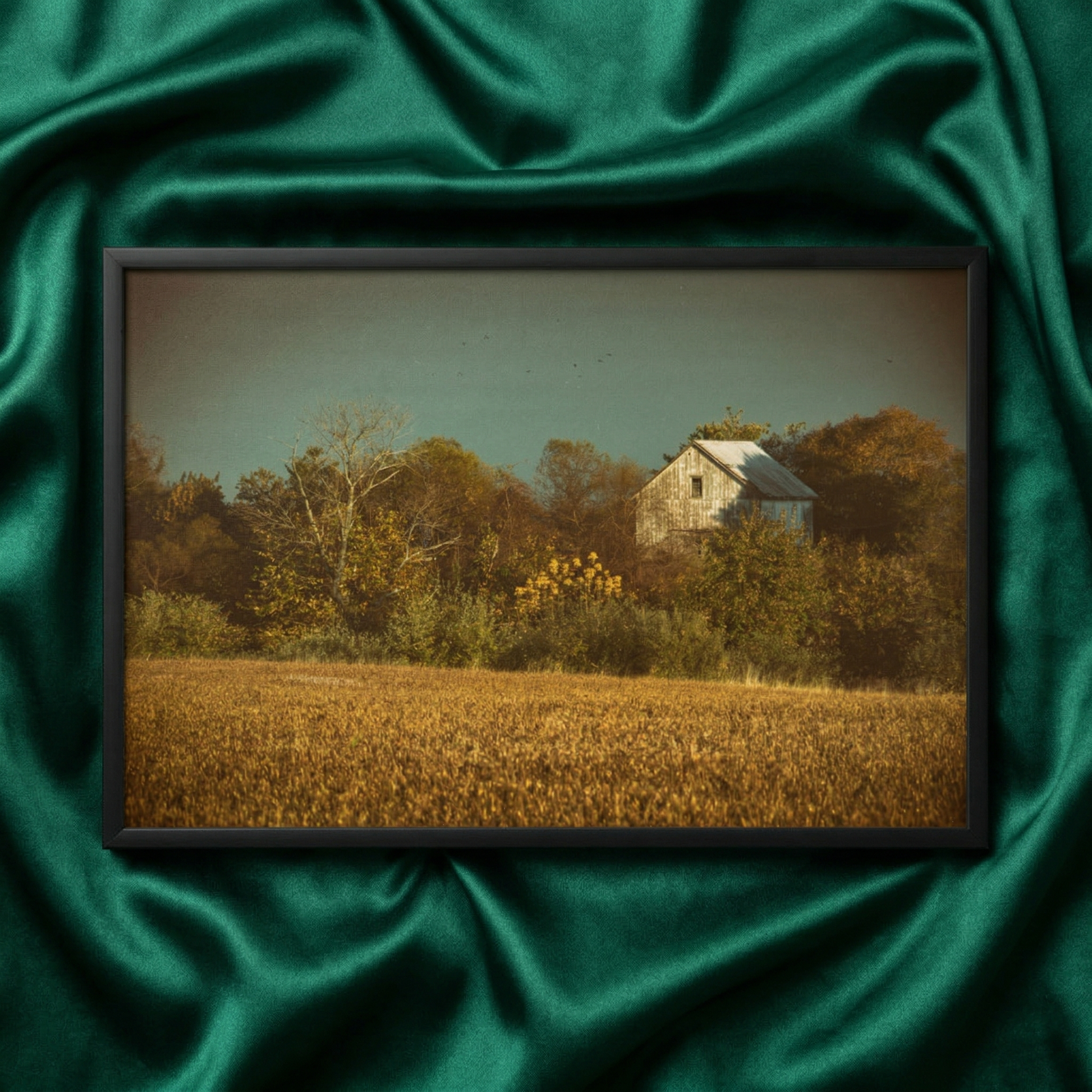 Rustic Wall Art Abandoned Barn In The Trees Rural Landscape Photograph -Aged Colorized