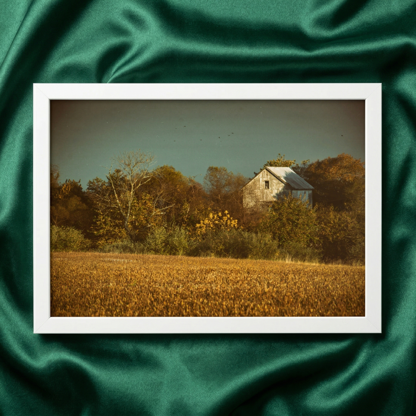 Rustic Wall Decor Abandoned Barn In The Trees Rural Landscape Photograph -Aged Colorized