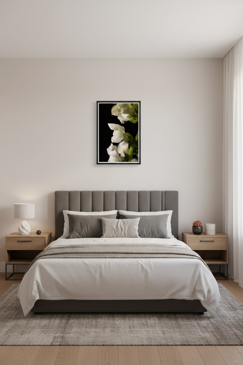 Single Snap Dragon Bloom Against Black Background Nature Photograph Loose in Contemporary Style Bedroom
