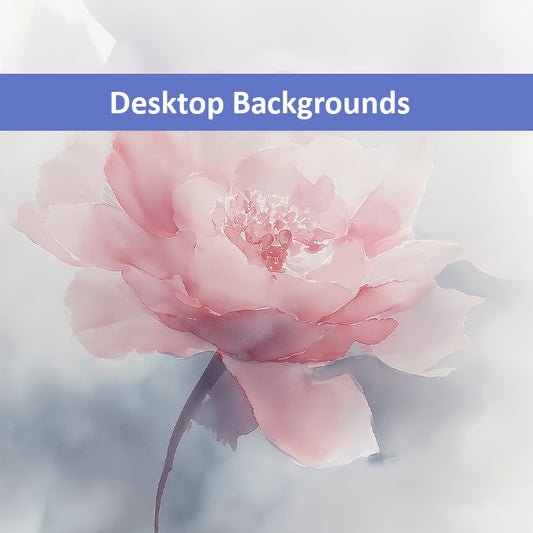 Soft Reflections Floral Digital Watercolor Painting blush peony artwork Wallpaper for Computer Monitors Smart TVs and Laptop Screens