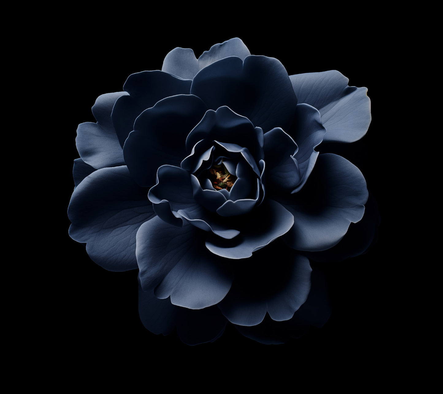 Starlit Blooms Dark Navy Blue Flower - Realism Painting Digital Artwork Loose Art Print