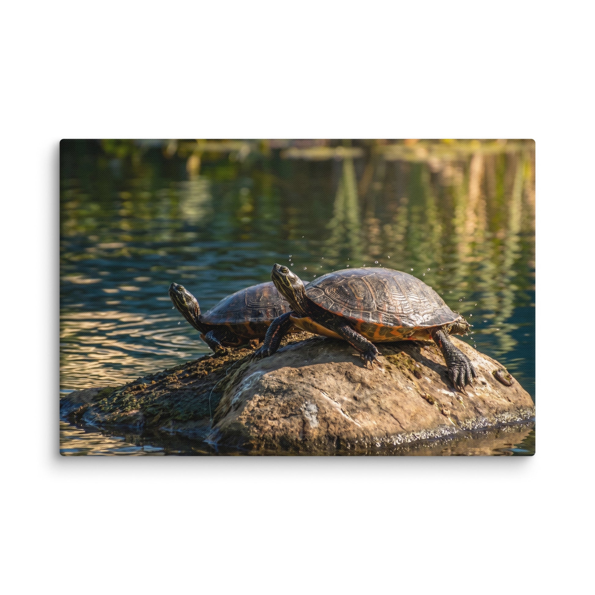 Sunshine Rock Wildlife Turtle Wall Art Print (1) Canvas