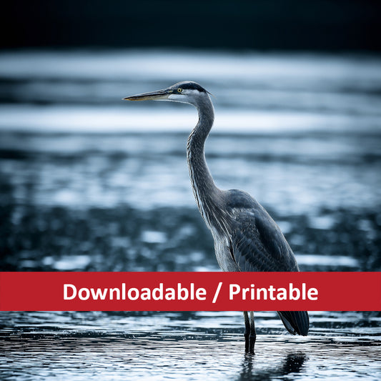 The Great Blue’s Vigil Wildlife Photorealistic Digital Painting DIY Downloadable and Printable Wall Art Prints