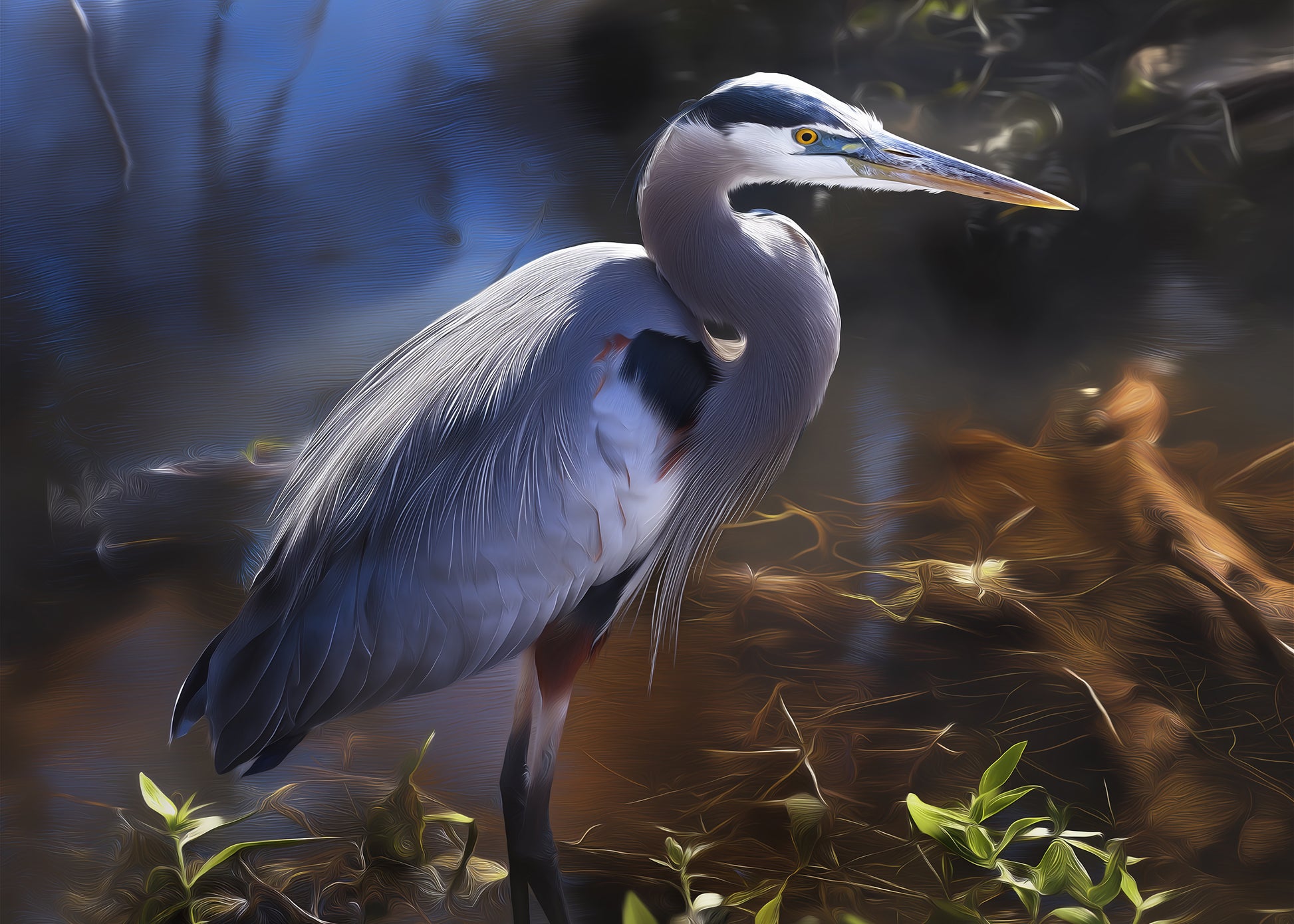 Blue Heron Audubon Print: The Silent Sentinel Wildlife Photorealistic Digital Painting 2