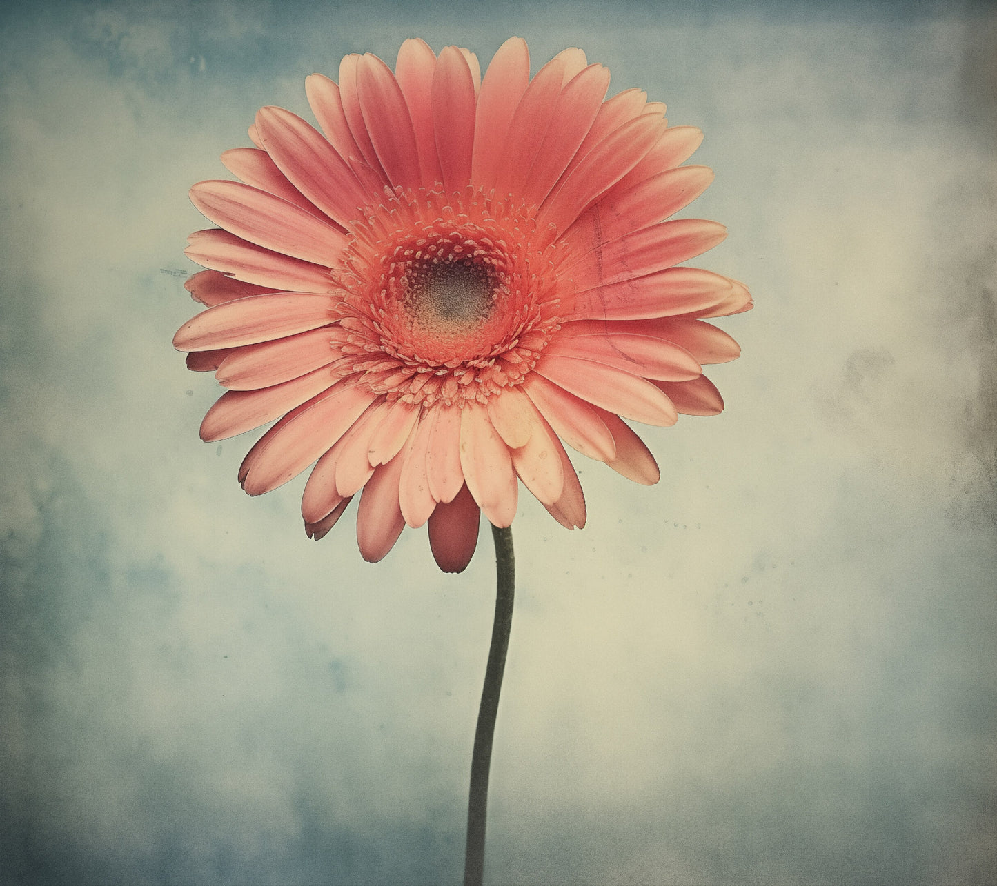 Vintage Daisy Realism Painting Digital Artwork Loose Art Print