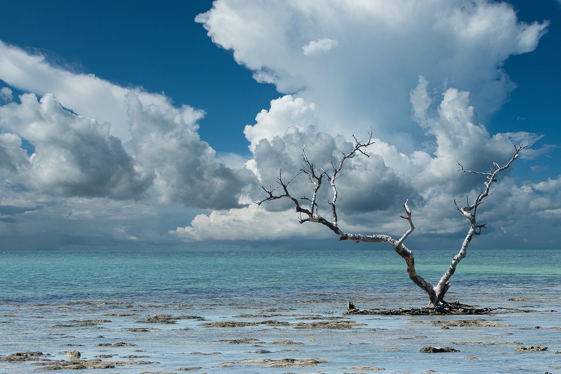 Wanderlust Traditional Color Coastal Landscape Photograph