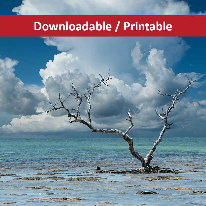 Wanderlust Traditional Color Coastal Landscape Photograph DIY Downloadable and Printable Wall Art Prints