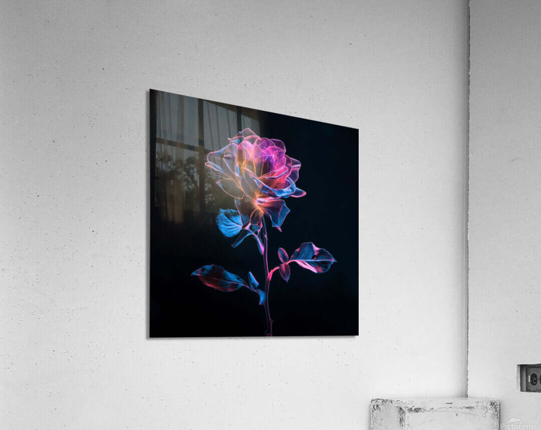 Acrylic Print