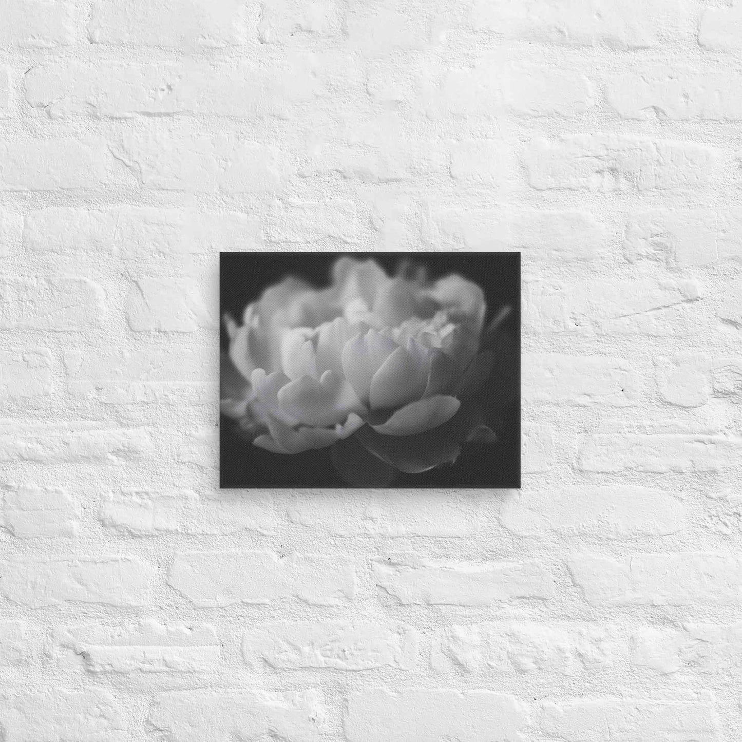 Contrast in Nature Floral Photorealistic Digital Artwork Peonies Wall Art Black and White Canvas Wall Art Print
