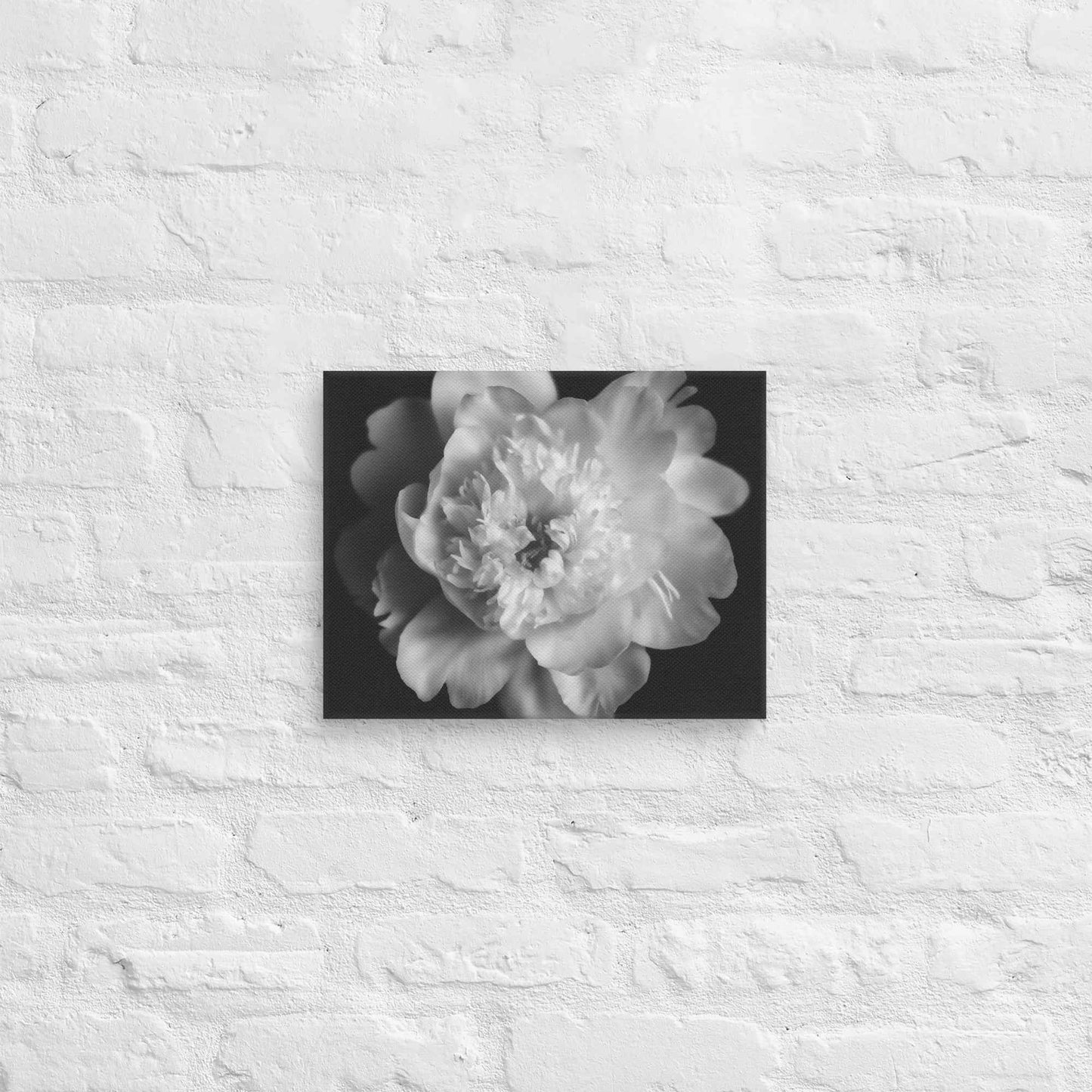 Lingering Fragrance Floral Photorealistic Digital Artwork Peonies Print Canvas Wall Art