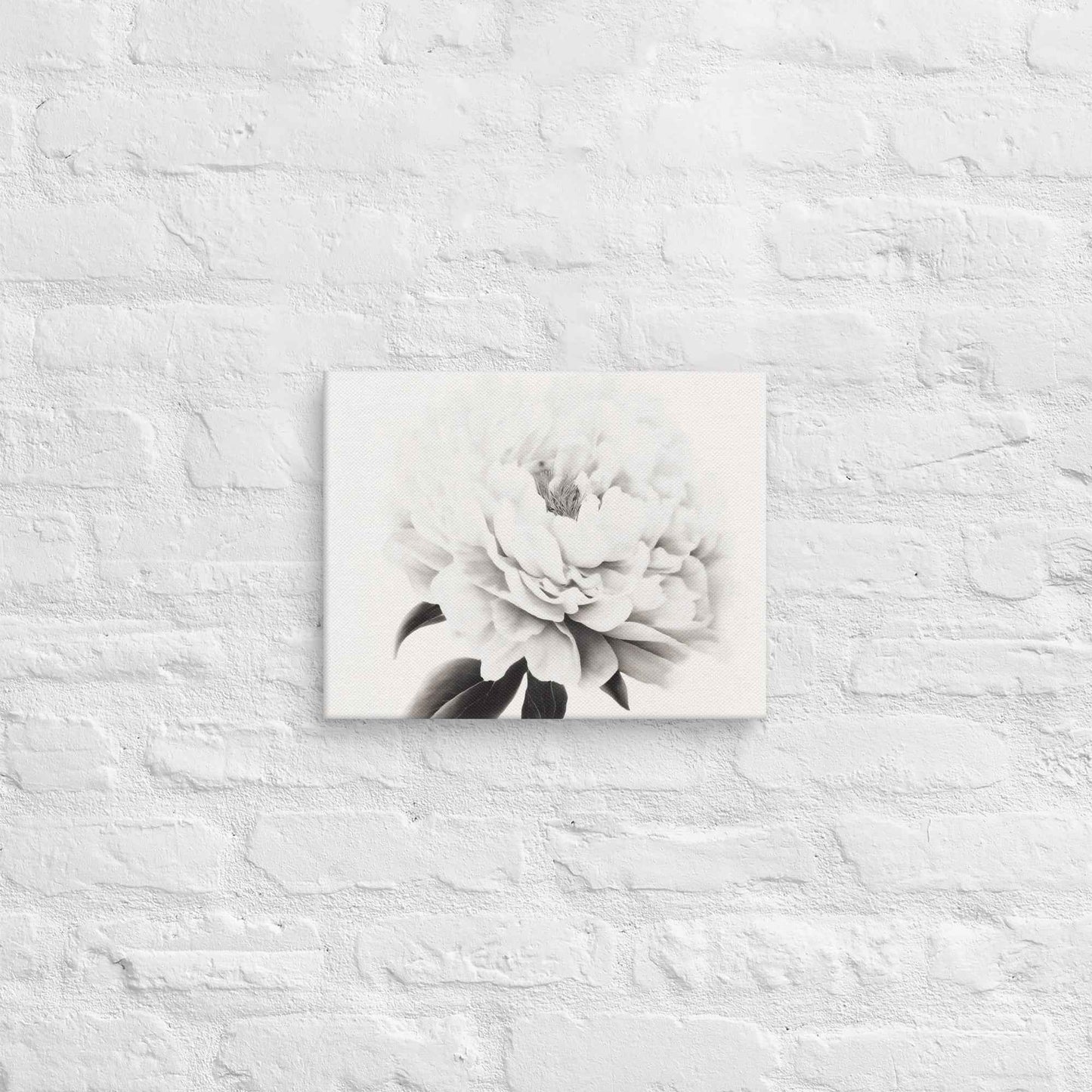 Pure Petals Floral Digital Artwork Abstract Peony Print Canvas Wall Art