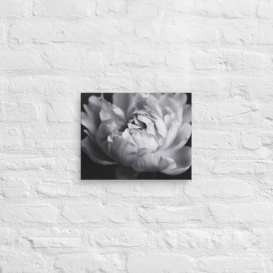 Shadow and Silk Floral Photorealistic Digital Art Peony Artwork Canvas Wall Art Print