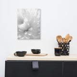 Infrared Flower Black and White Floral Nature Canvas Wall Art Prints
