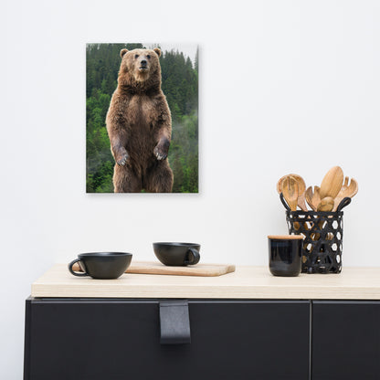Big Standing Brown Bear On Mountain Top Animal Wildlife Photograph Canvas Wall Art Prints
