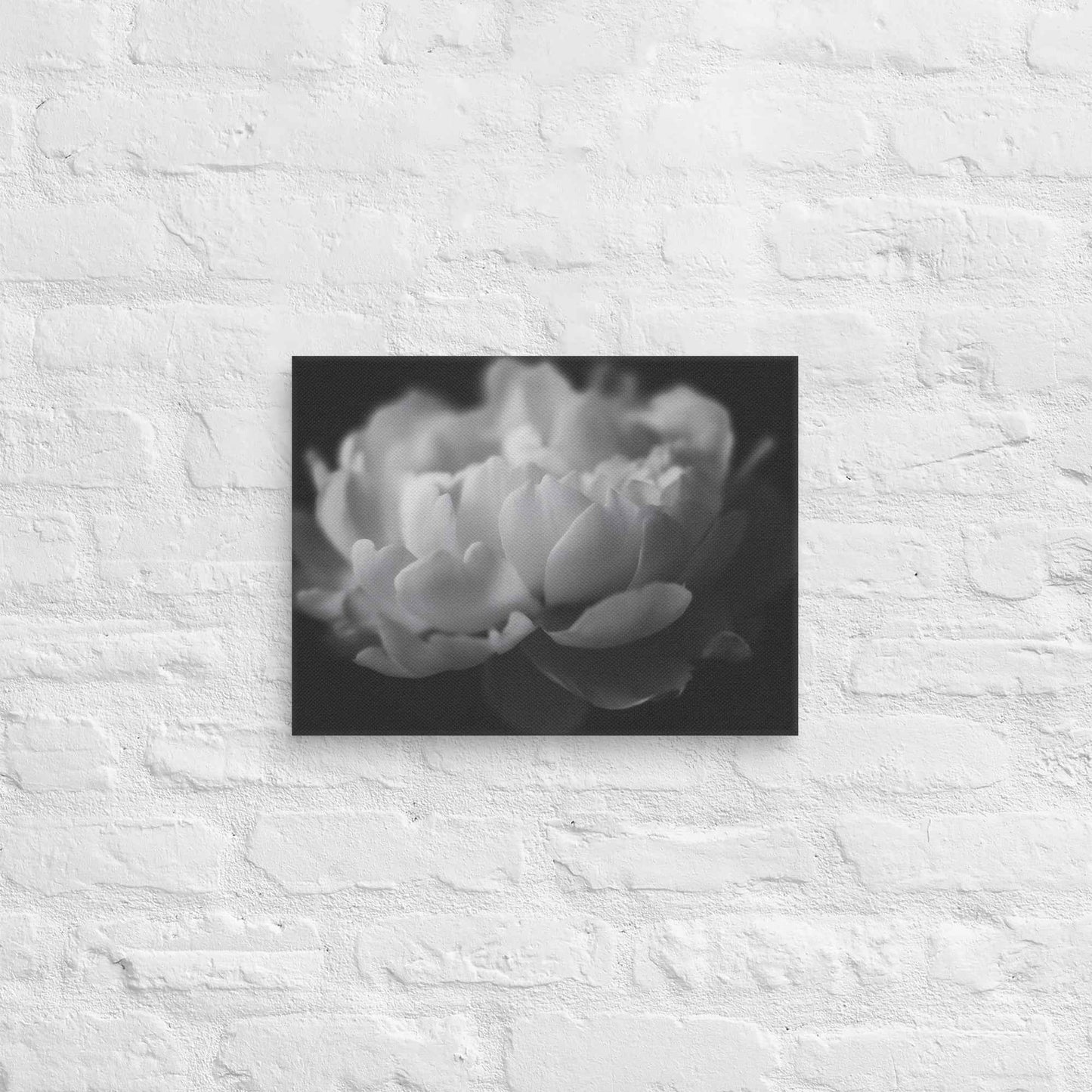 Contrast in Nature Floral Photorealistic Digital Artwork Peonies Wall Art Black and White Canvas Wall Art Print