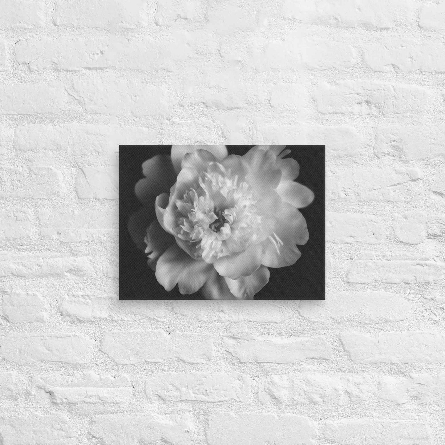 Lingering Fragrance Floral Photorealistic Digital Artwork Peonies Print Canvas Wall Art