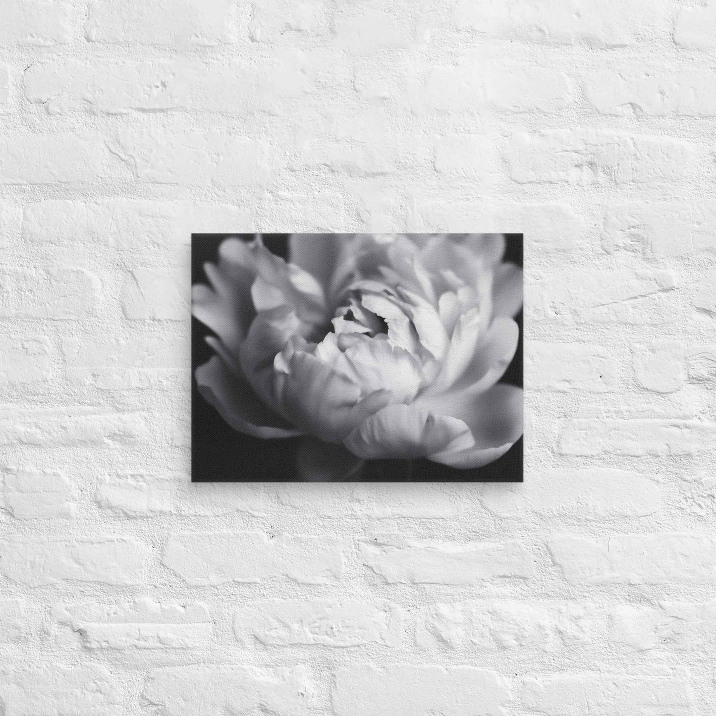 Shadow and Silk Floral Photorealistic Digital Art Peony Artwork Canvas Wall Art Print