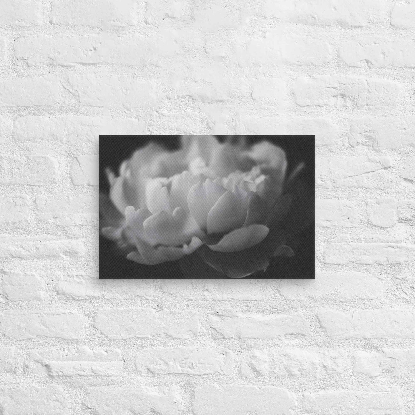 Contrast in Nature Floral Photorealistic Digital Artwork Peonies Wall Art Black and White Canvas Wall Art Print