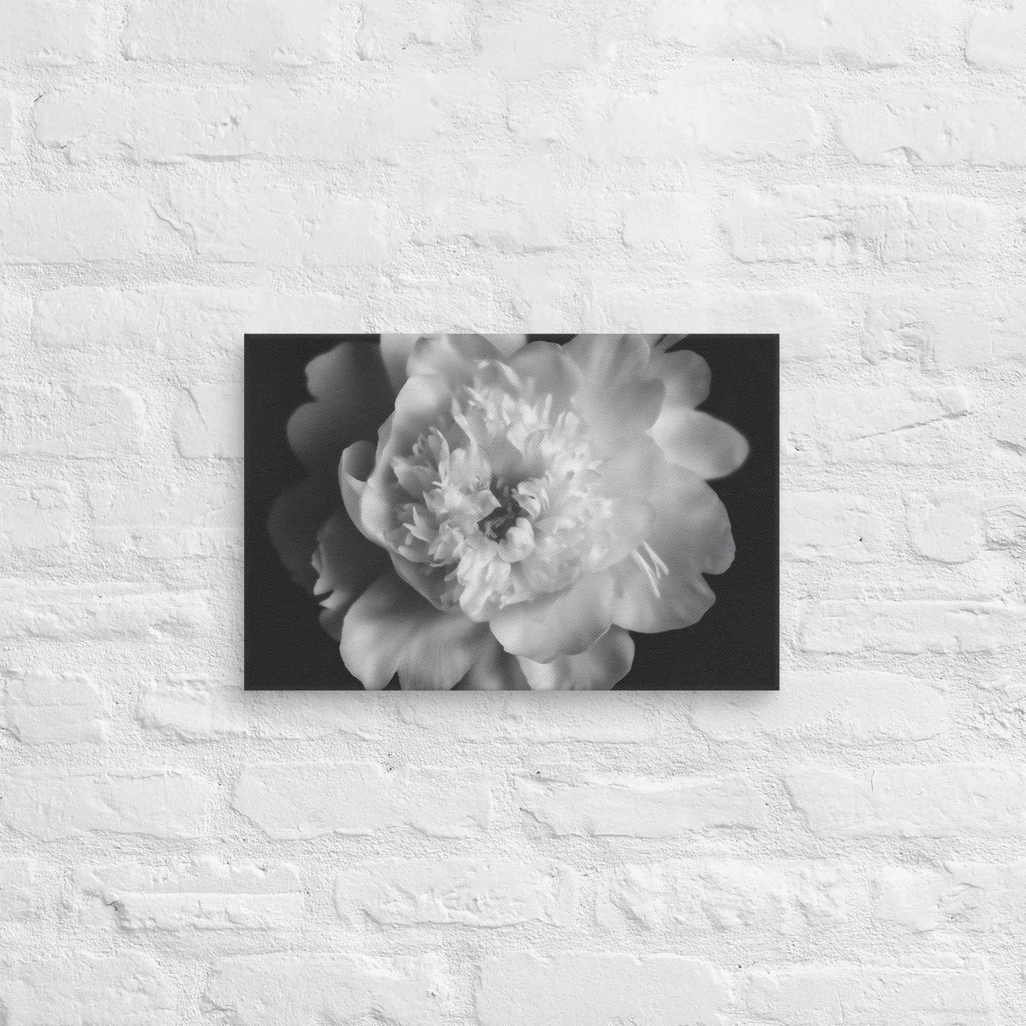 Lingering Fragrance Floral Photorealistic Digital Artwork Peonies Print Canvas Wall Art