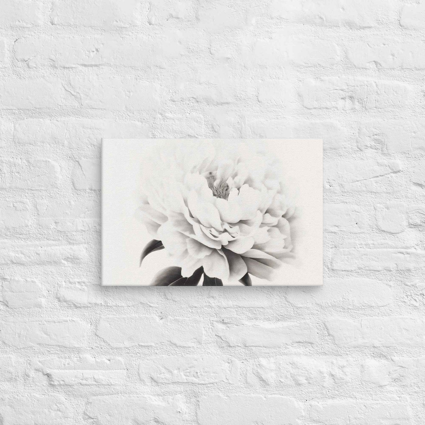 Pure Petals Floral Digital Artwork Abstract Peony Print Canvas Wall Art