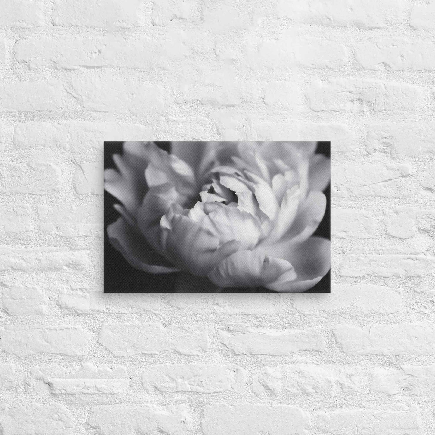 Shadow and Silk Floral Photorealistic Digital Art Peony Artwork Canvas Wall Art Print