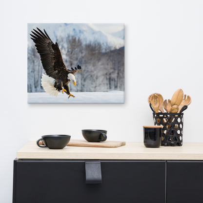 wildlife canvas pictures, Adult Bald Eagle and Alaskan Winter Photograph Wall Artwork Prints