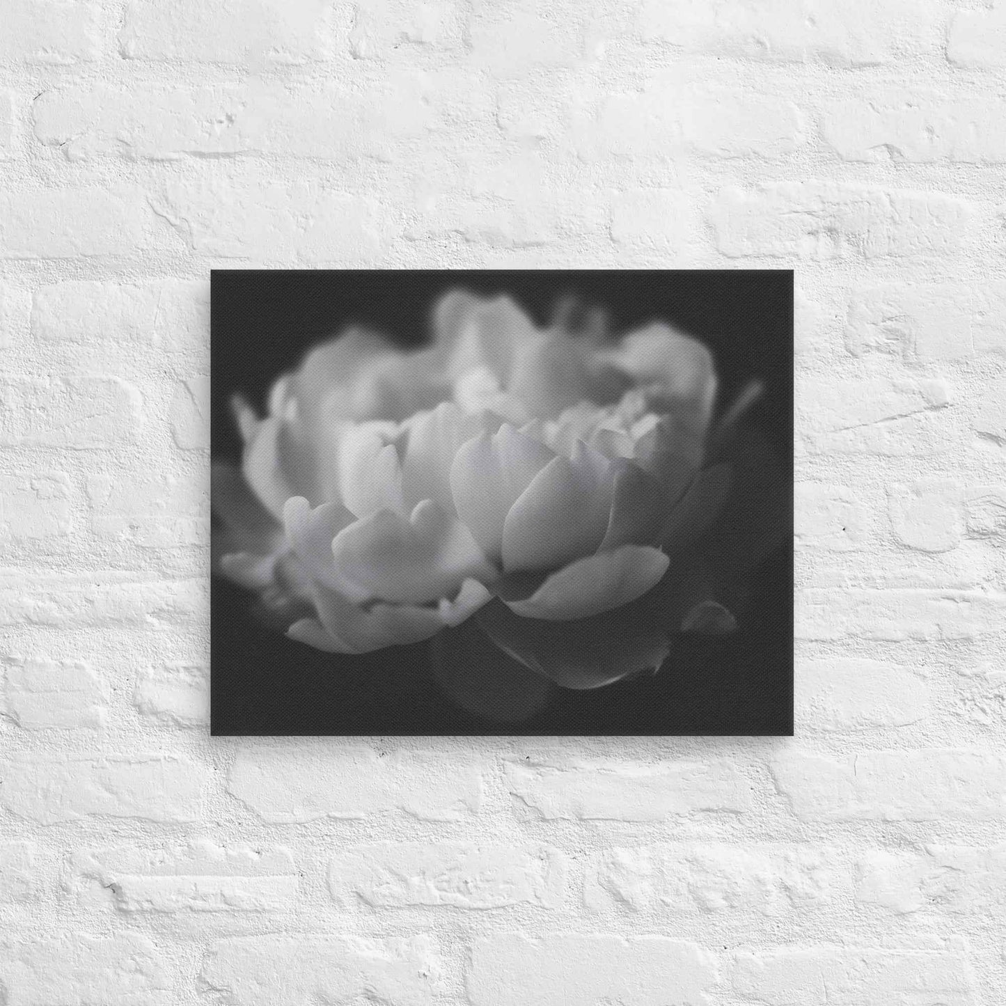 Contrast in Nature Floral Photorealistic Digital Artwork Peonies Wall Art Black and White Canvas Wall Art Print