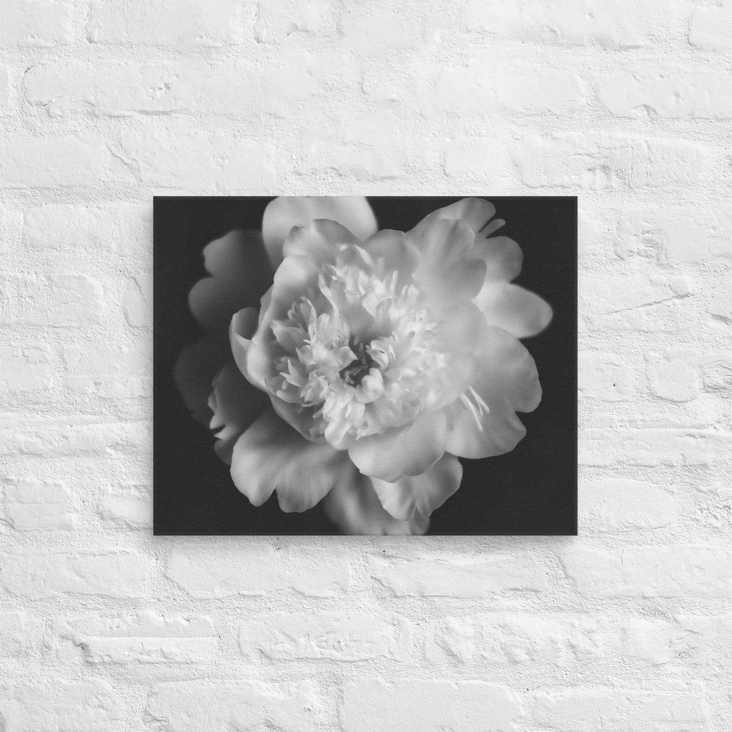 Lingering Fragrance Floral Photorealistic Digital Artwork Peonies Print Canvas Wall Art