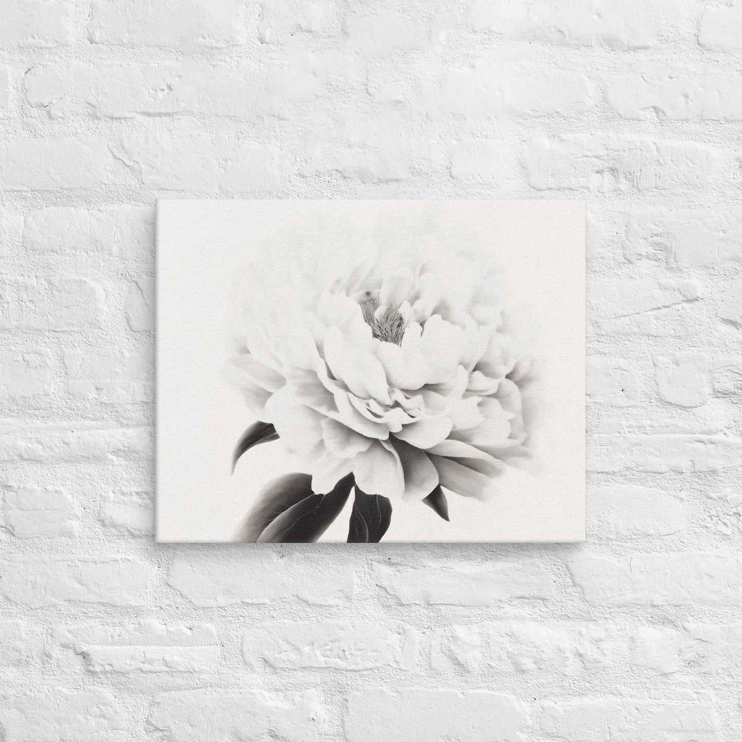 Pure Petals Floral Digital Artwork Abstract Peony Print Canvas Wall Art