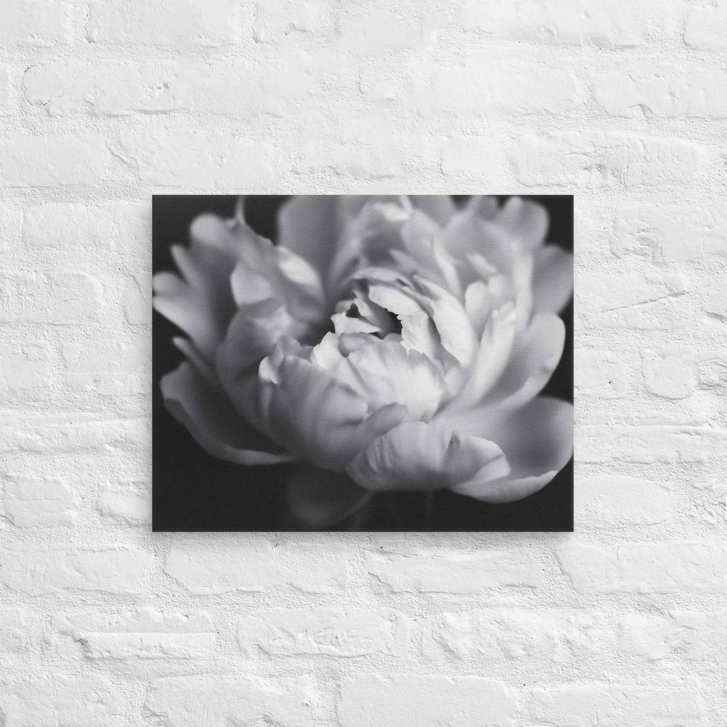 Shadow and Silk Floral Photorealistic Digital Art Peony Artwork Canvas Wall Art Print