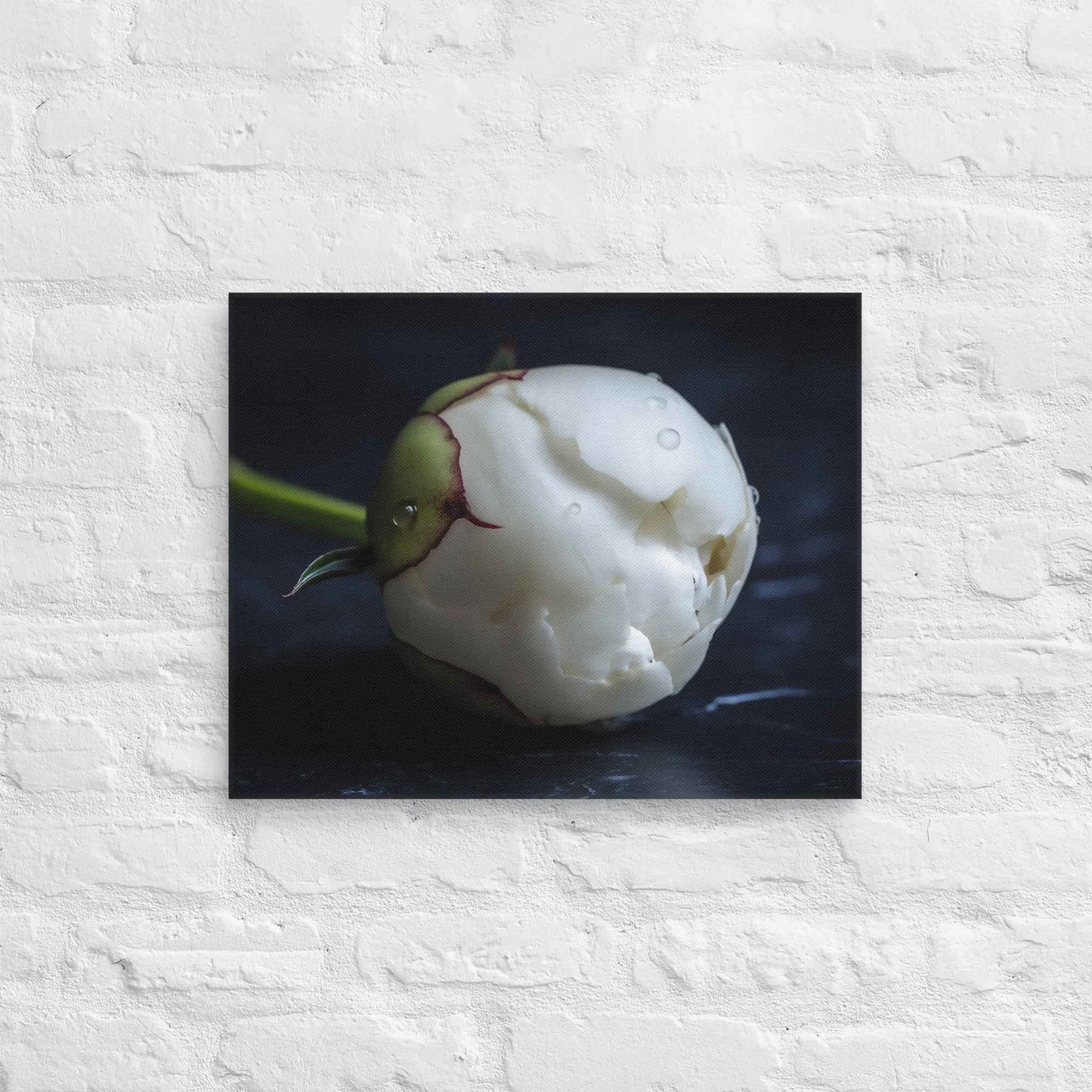 Stark Botanical Peony Bud Floral Photorealistic Digital Artwork Canvas Wall Art Print