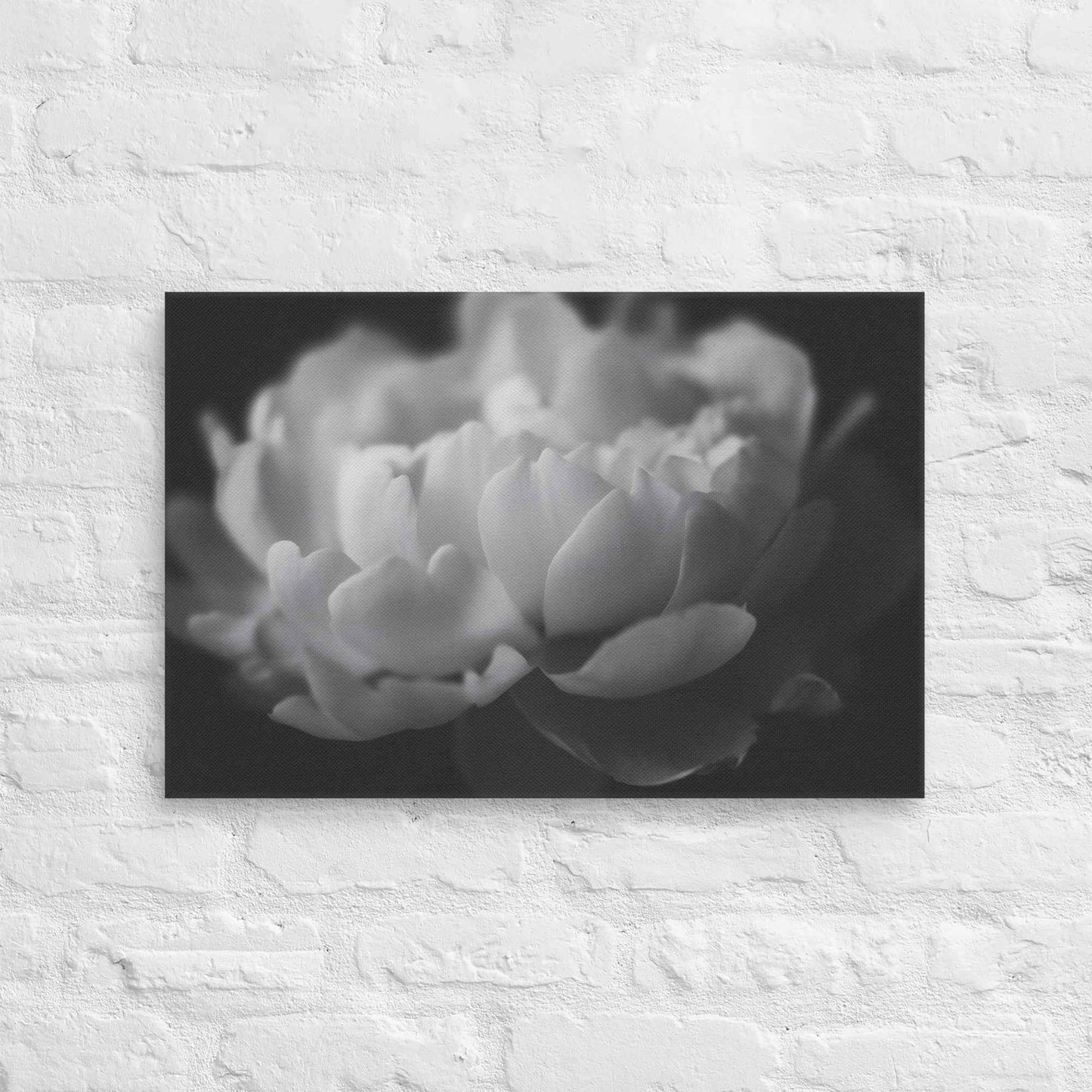 Contrast in Nature Floral Photorealistic Digital Artwork Peonies Wall Art Black and White Canvas Wall Art Print