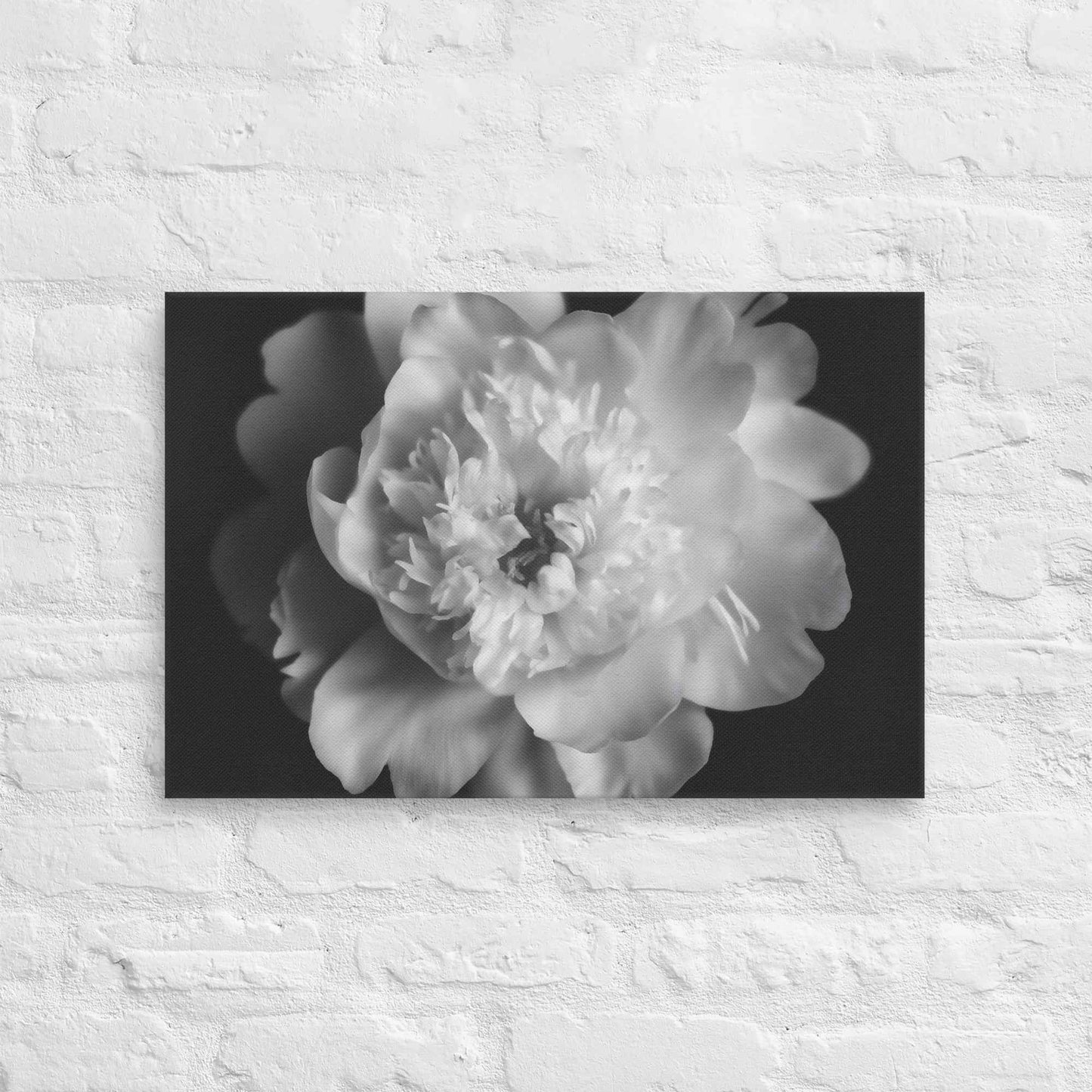 Lingering Fragrance Floral Photorealistic Digital Artwork Peonies Print Canvas Wall Art