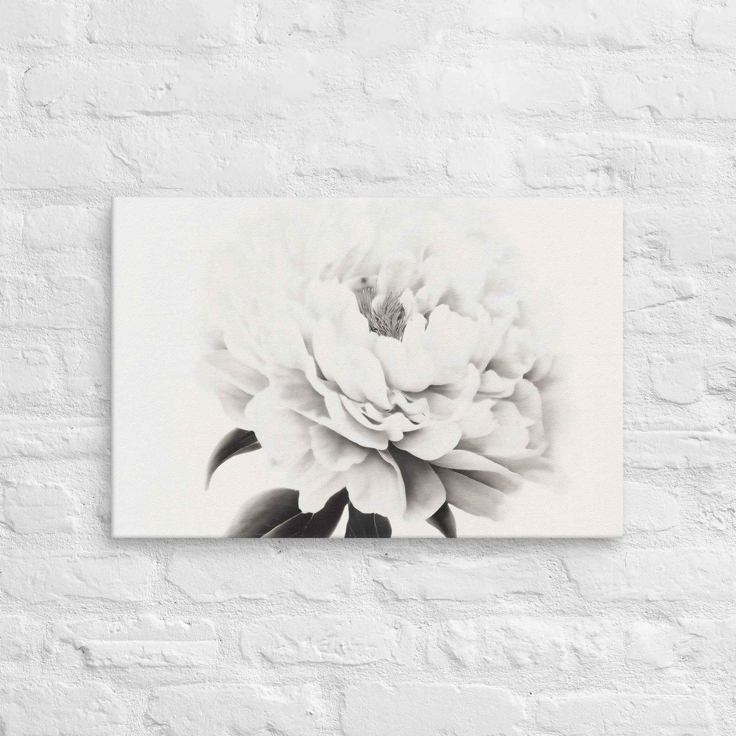 Pure Petals Floral Digital Artwork Abstract Peony Print Canvas Wall Art