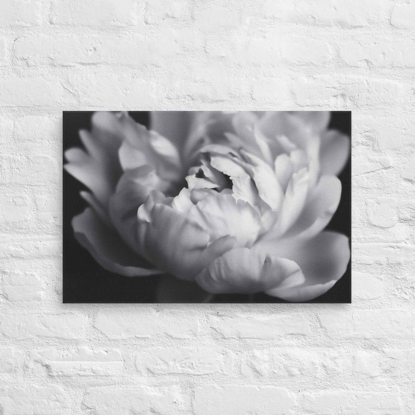 Shadow and Silk Floral Photorealistic Digital Art Peony Artwork Canvas Wall Art Print