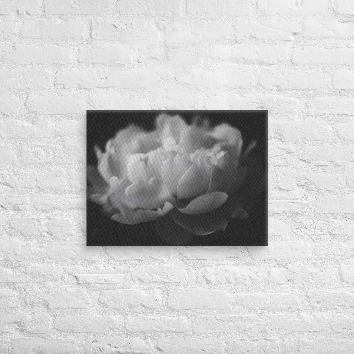 Contrast in Nature Floral Photorealistic Digital Artwork Peonies Wall Art Black and White Canvas Wall Art Print