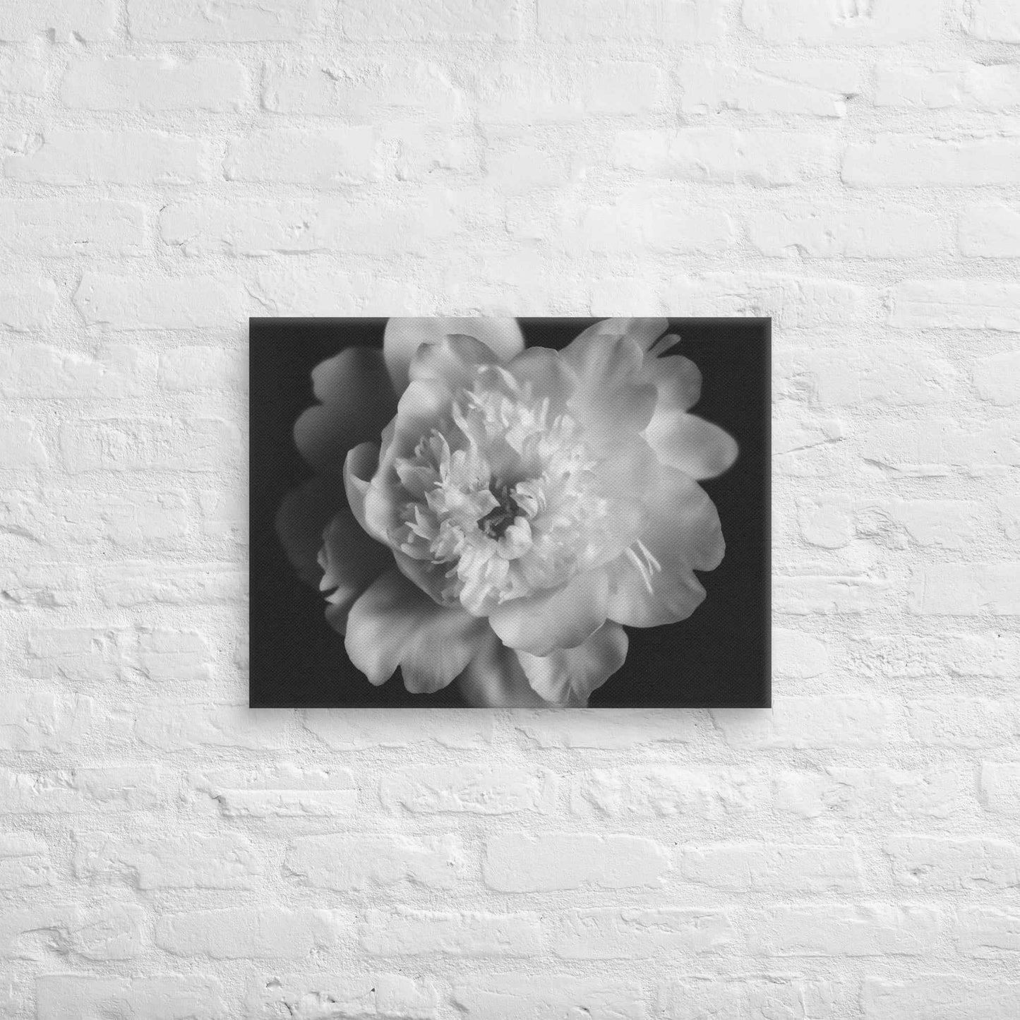 Lingering Fragrance Floral Photorealistic Digital Artwork Peonies Print Canvas Wall Art