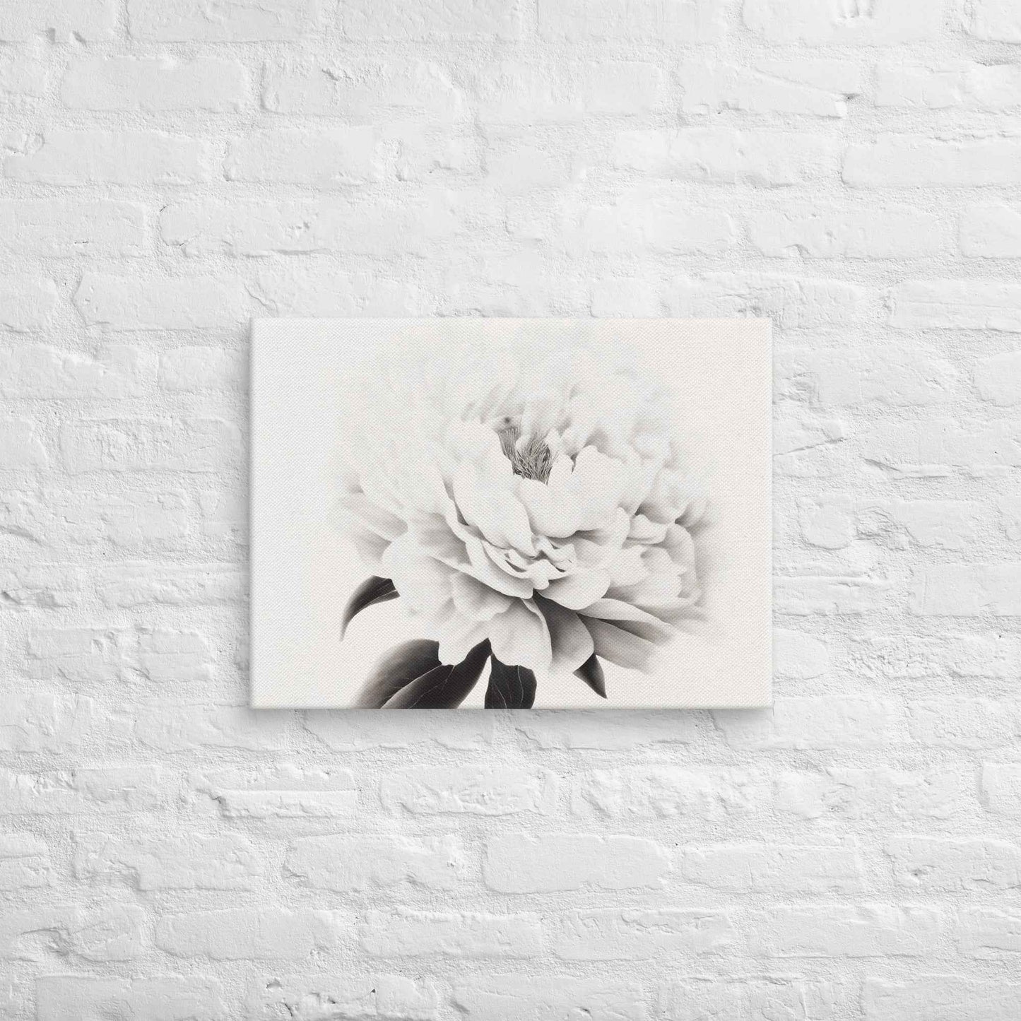 Pure Petals Floral Digital Artwork Abstract Peony Print Canvas Wall Art