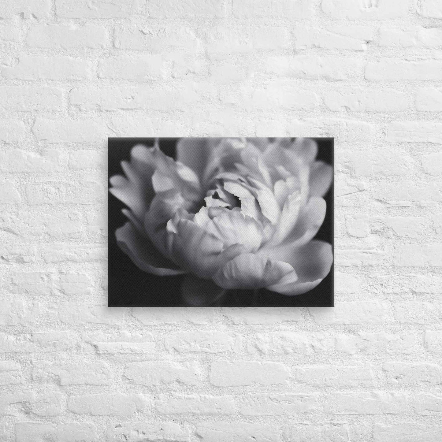 Shadow and Silk Floral Photorealistic Digital Art Peony Artwork Canvas Wall Art Print
