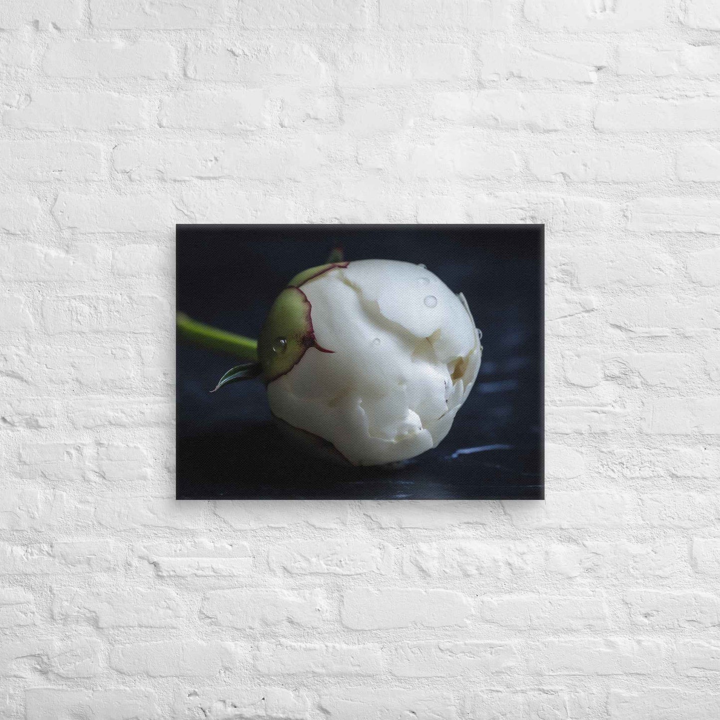 Stark Botanical Peony Bud Floral Photorealistic Digital Artwork Canvas Wall Art Print