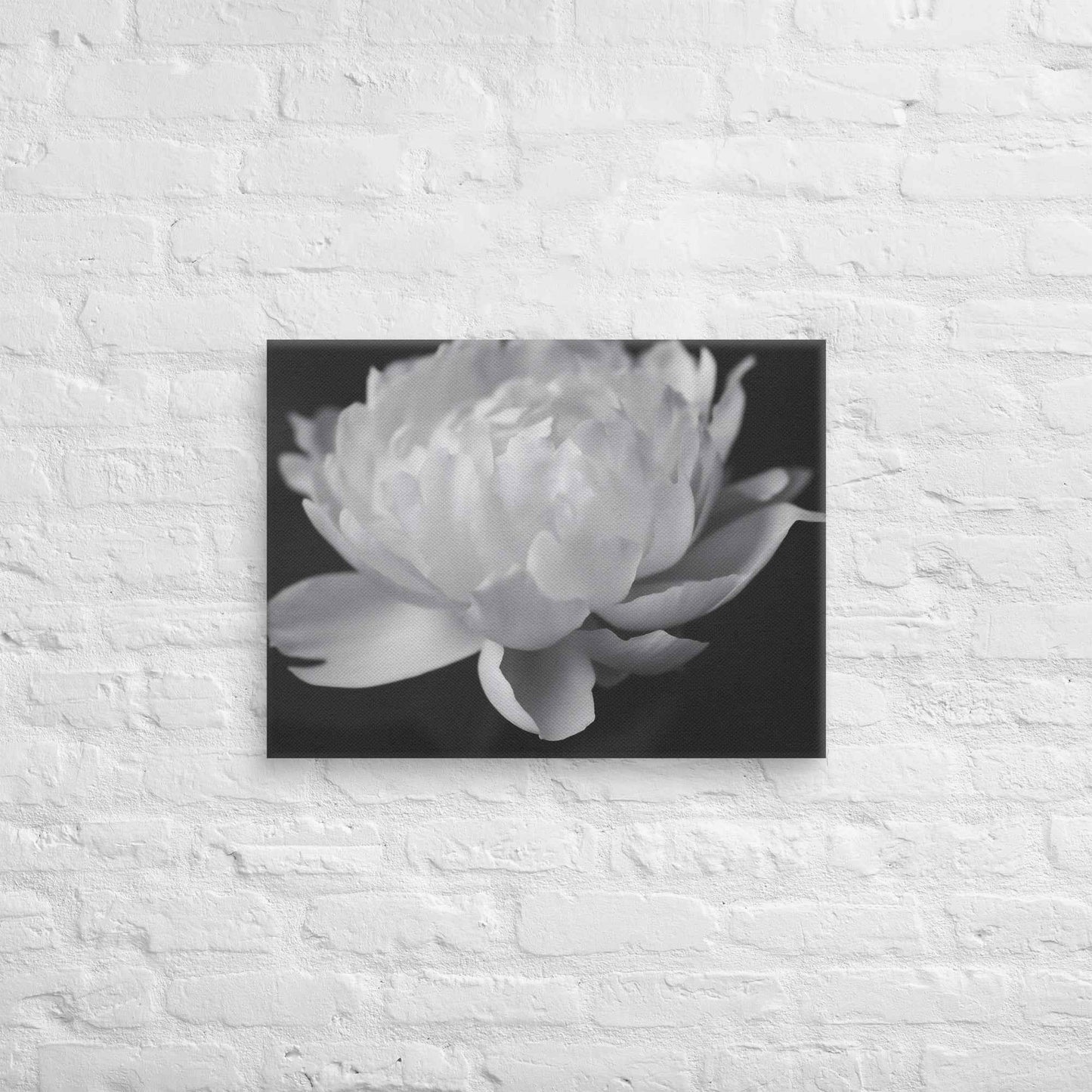 Velvet Shadows Floral Photorealistic Digital Artwork Peony Flower Prints Black and White Canvas