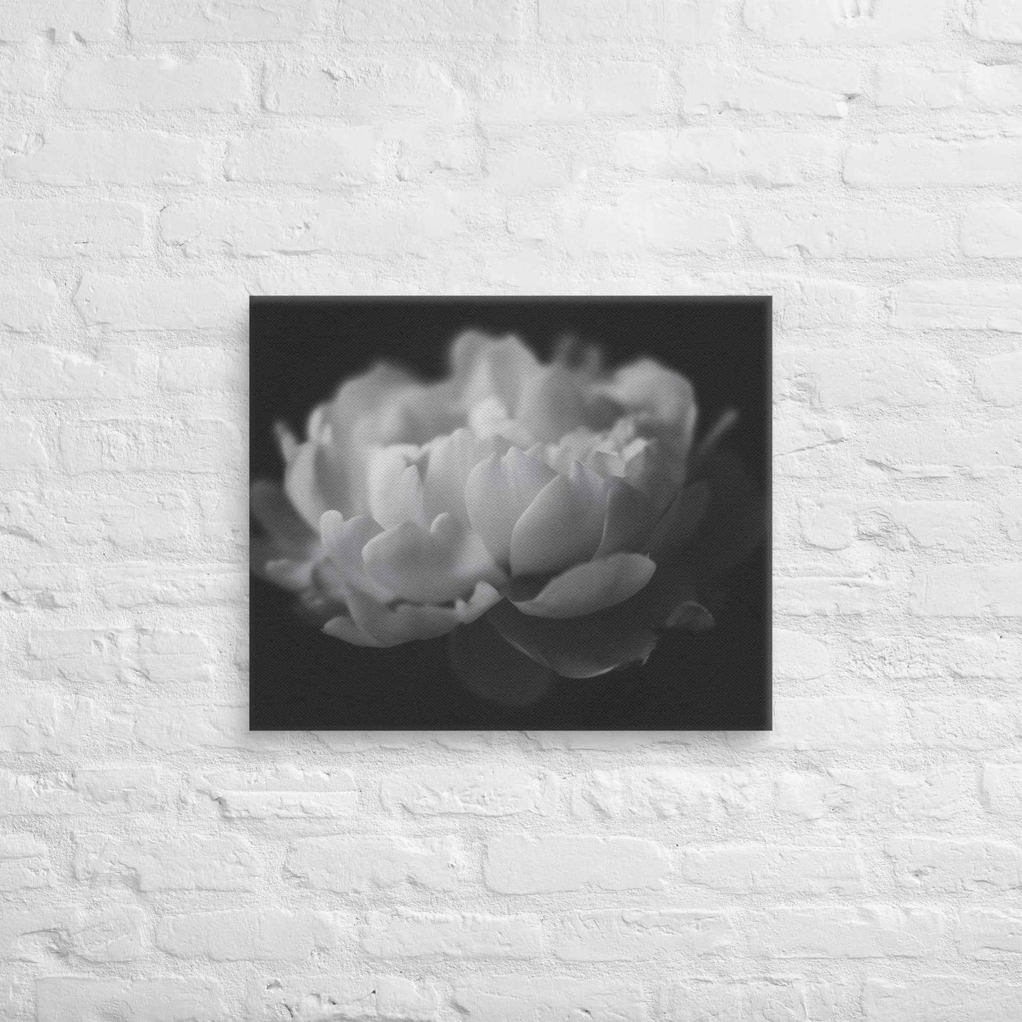 Contrast in Nature Floral Photorealistic Digital Artwork Peonies Wall Art Black and White Canvas Wall Art Print