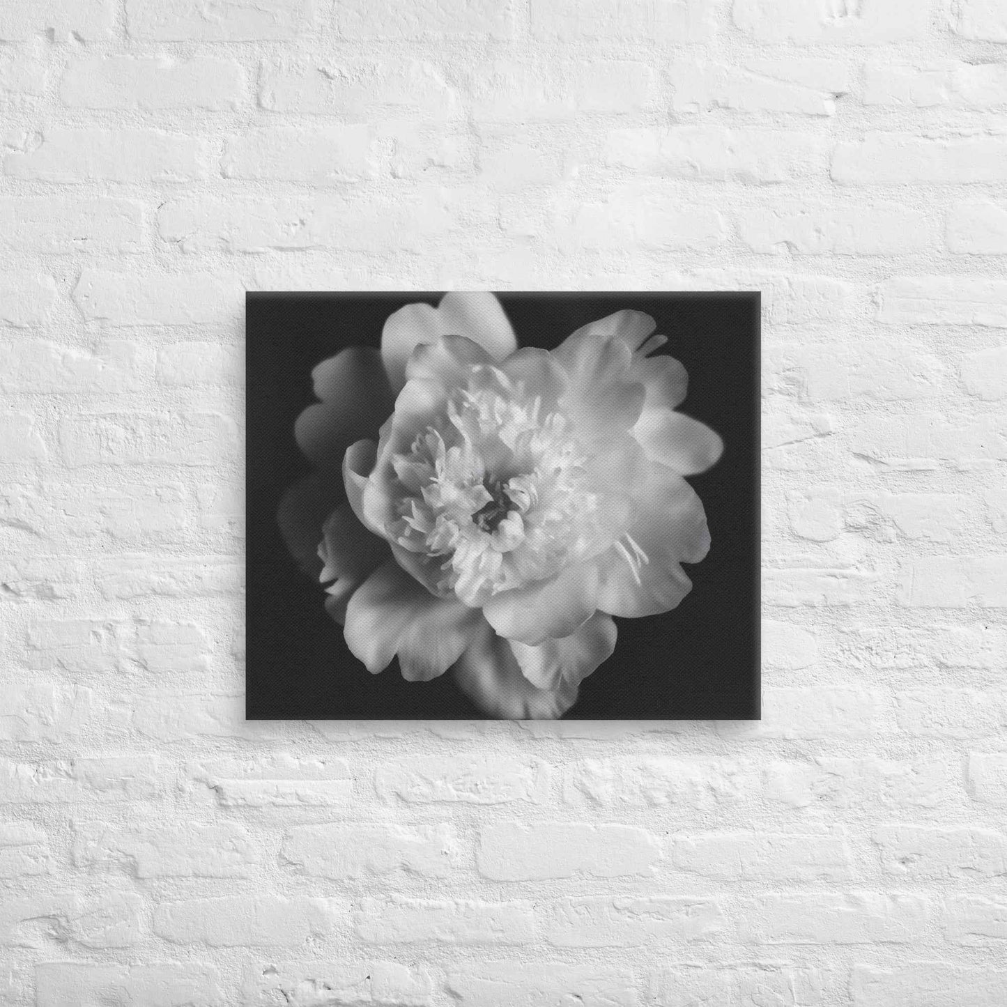 Lingering Fragrance Floral Photorealistic Digital Artwork Peonies Print Canvas Wall Art