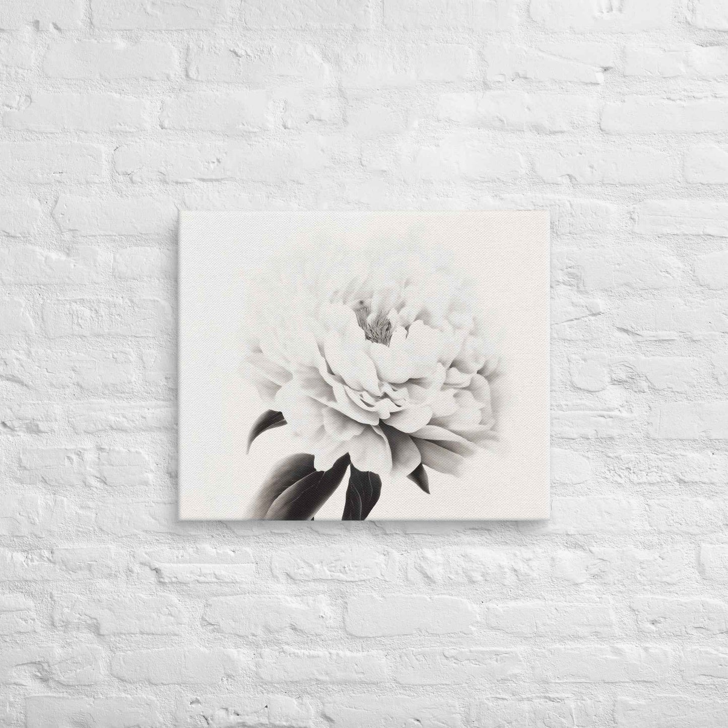 Pure Petals Floral Digital Artwork Abstract Peony Print Canvas Wall Art