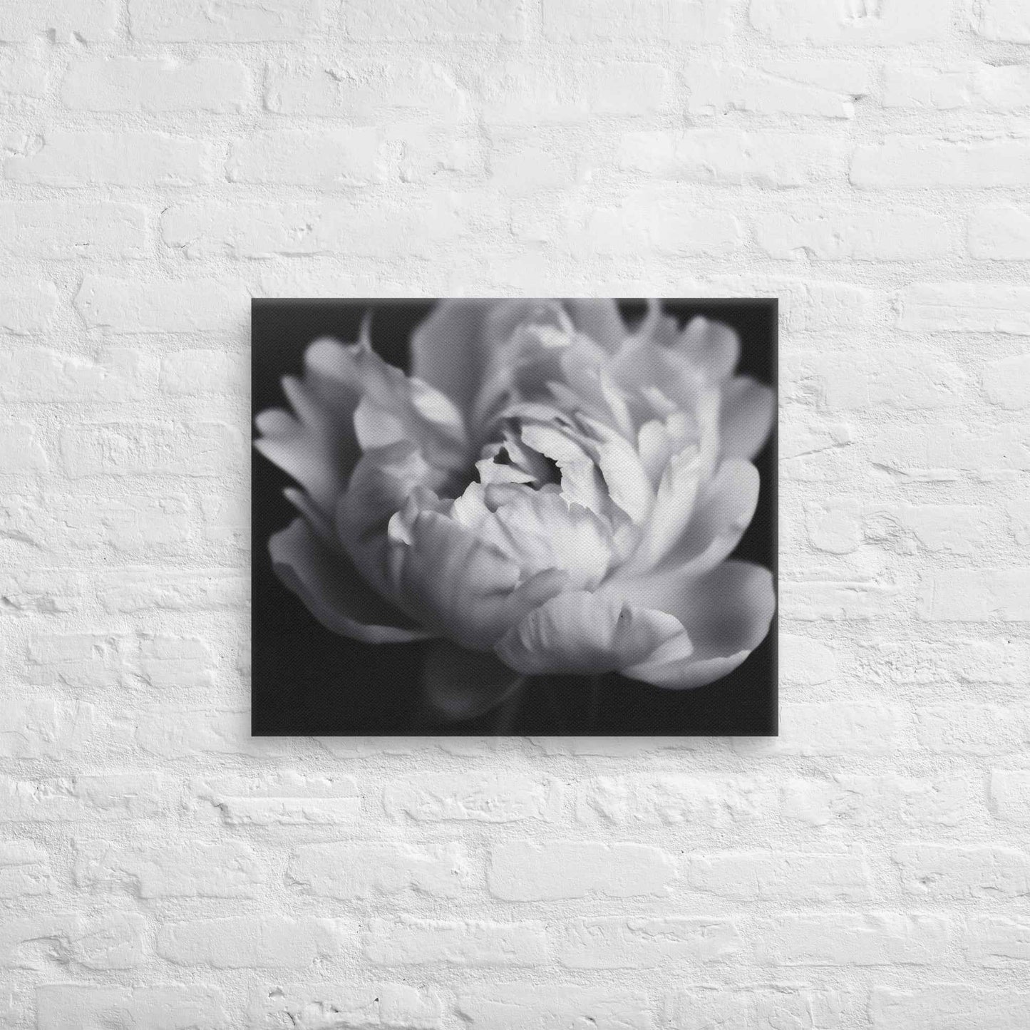 Shadow and Silk Floral Photorealistic Digital Art Peony Artwork Canvas Wall Art Print