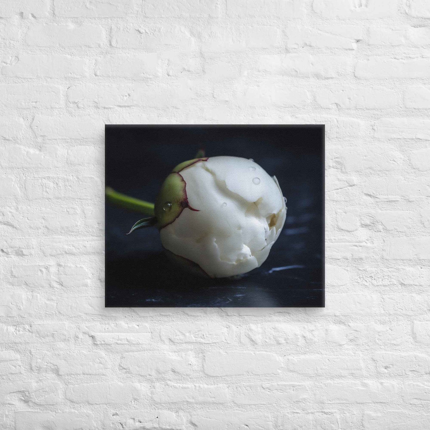 Stark Botanical Peony Bud Floral Photorealistic Digital Artwork Canvas Wall Art Print