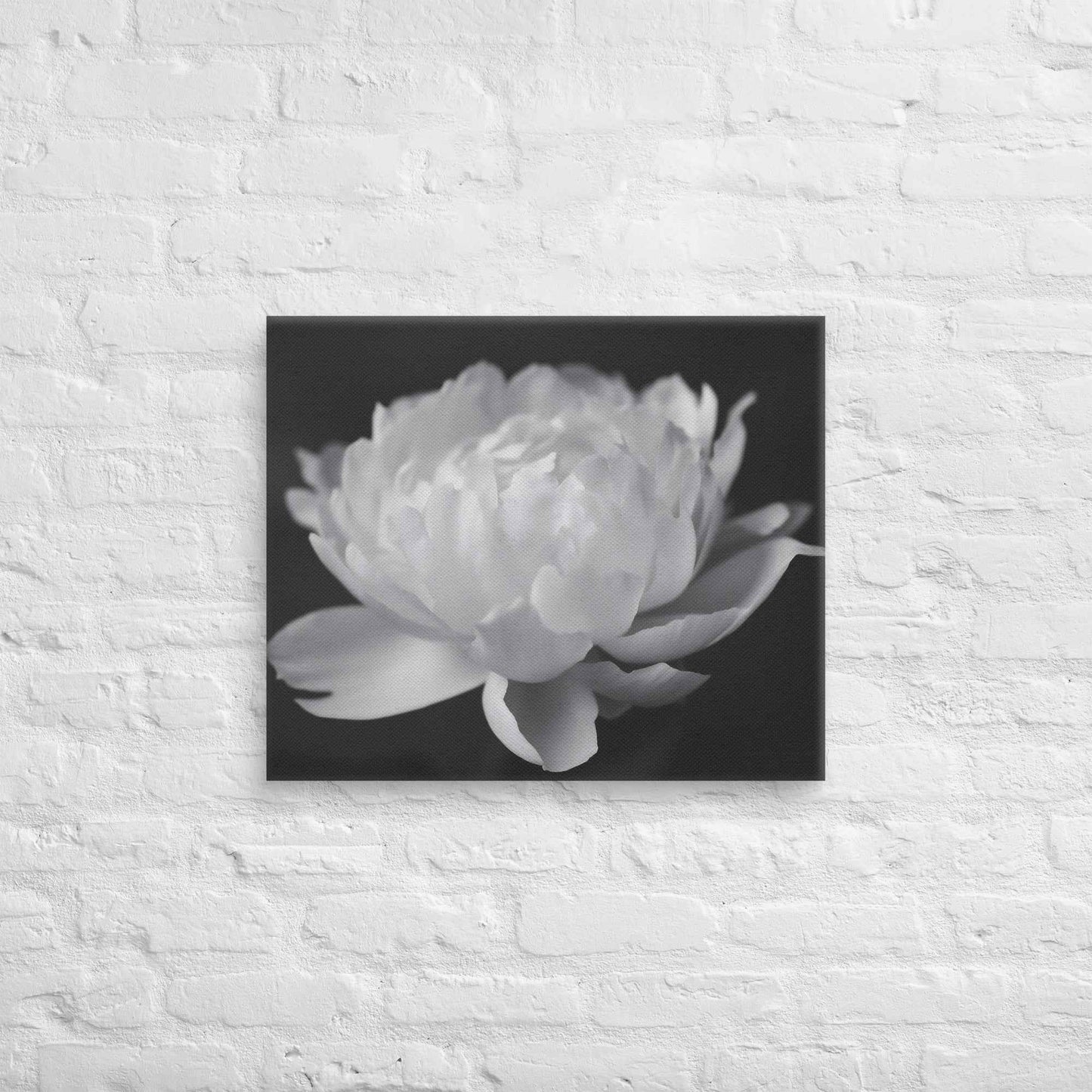 Velvet Shadows Floral Photorealistic Digital Artwork Peony Flower Prints Black and White Canvas